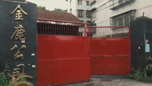 溫州一工廠涉嫌生產偽劣酒品被查封，負責人被控制